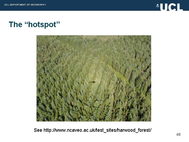 UCL DEPARTMENT OF GEOGRAPHY The “hotspot” See http: //www. ncaveo. ac. uk/test_sites/harwood_forest/ 48 