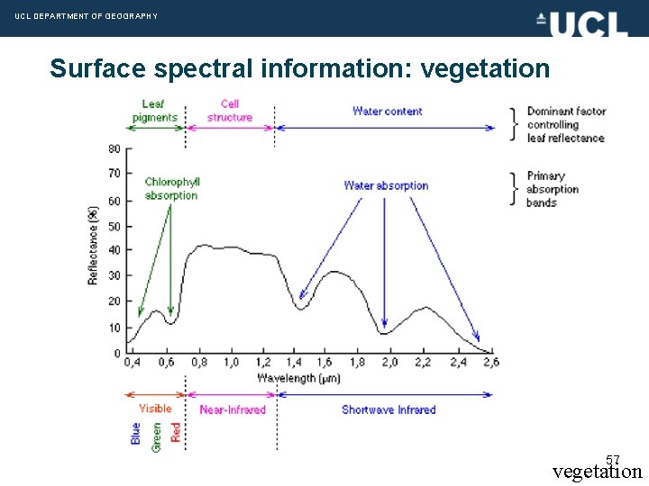 UCL DEPARTMENT OF GEOGRAPHY Surface spectral information: vegetation 57 vegetation 