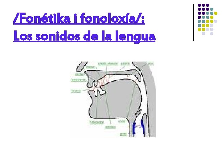 /Fonétika i fonoloxía/: Los sonidos de la lengua 