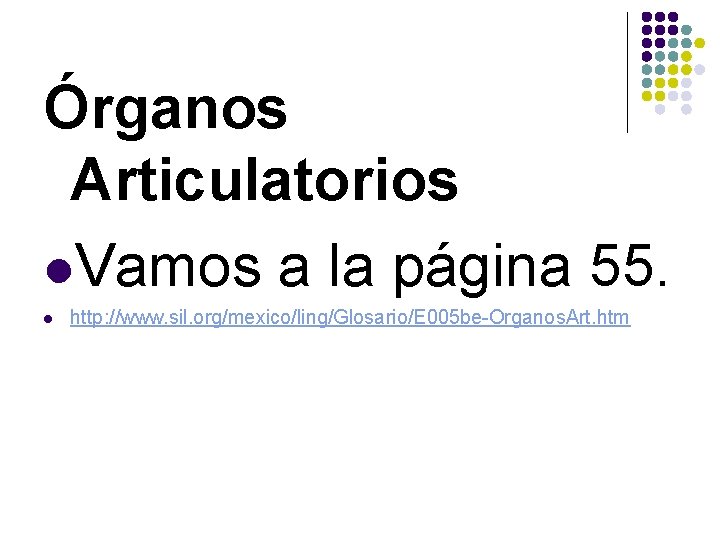 Órganos Articulatorios l. Vamos a la página 55. l http: //www. sil. org/mexico/ling/Glosario/E 005