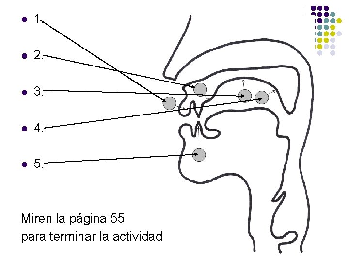l 1. l 2. l 3. l 4. l 5. Miren la página 55