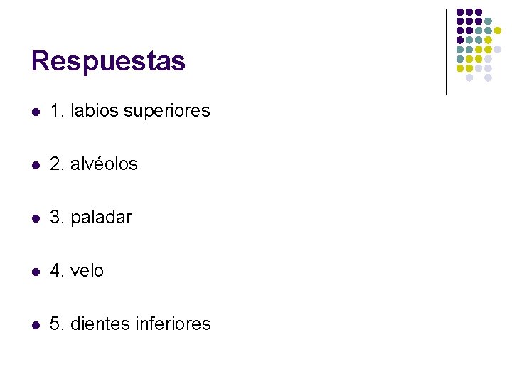Respuestas l 1. labios superiores l 2. alvéolos l 3. paladar l 4. velo