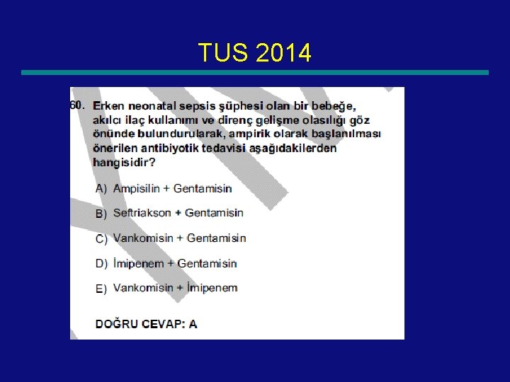 TUS 2014 113 