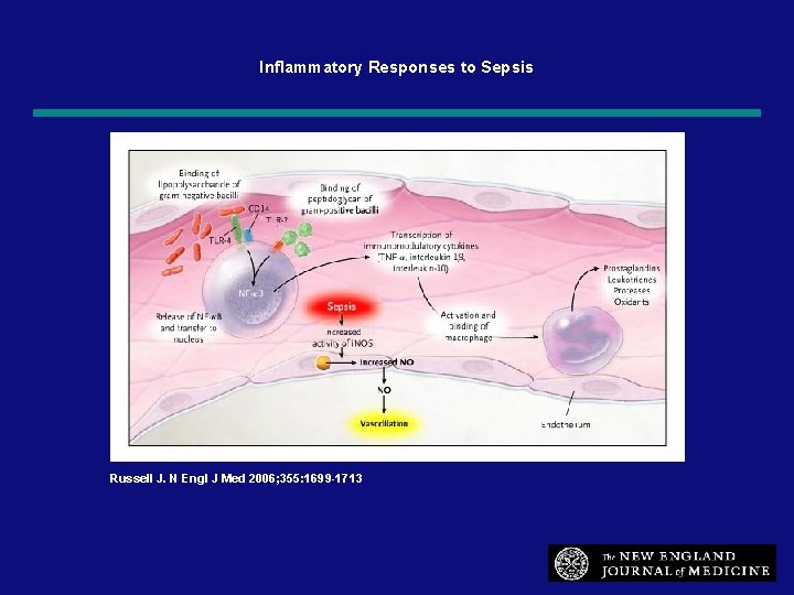 Inflammatory Responses to Sepsis Russell J. N Engl J Med 2006; 355: 1699 -1713