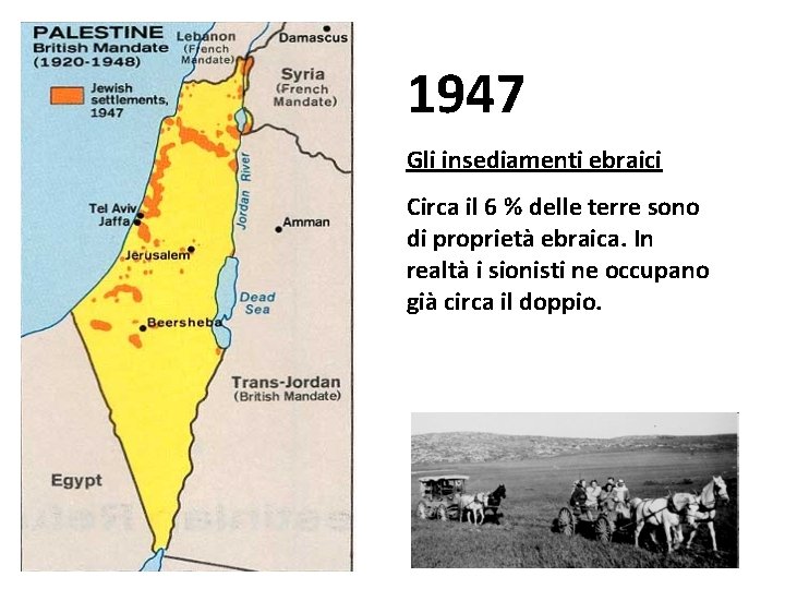 1947 Gli insediamenti sionisti Gli insediamenti ebraici Circa il 6 % delle terre sono