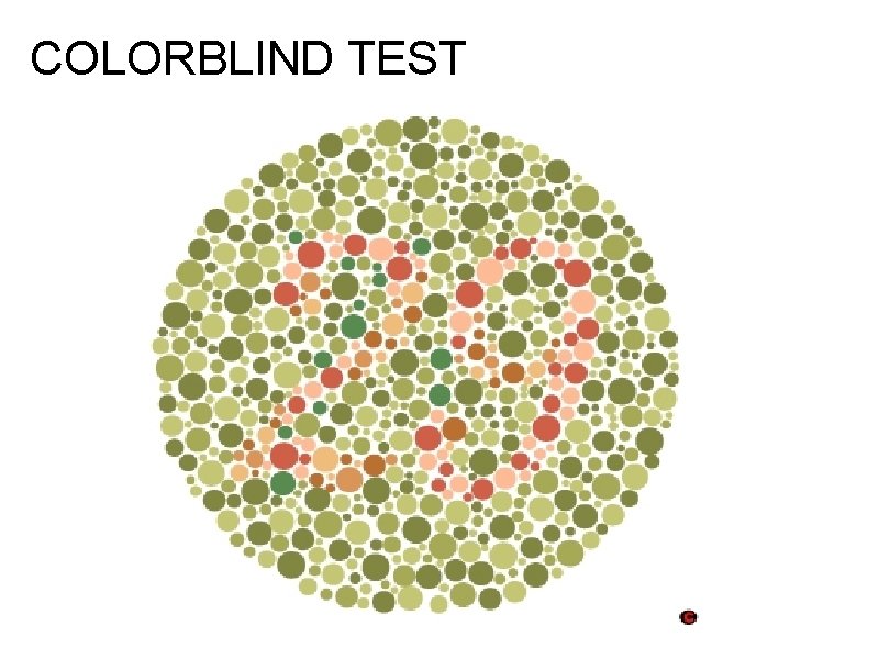 COLORBLIND TEST 