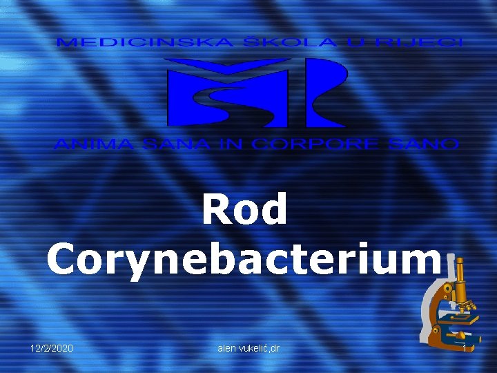 Rod Corynebacterium 12/2/2020 alen vukelić, dr 1 