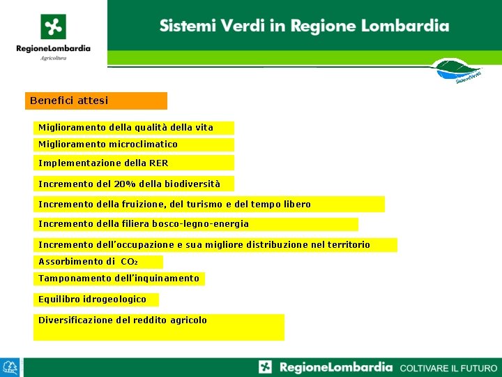 Benefici attesi Miglioramento della qualità della vita Miglioramento microclimatico Implementazione della RER Incremento del