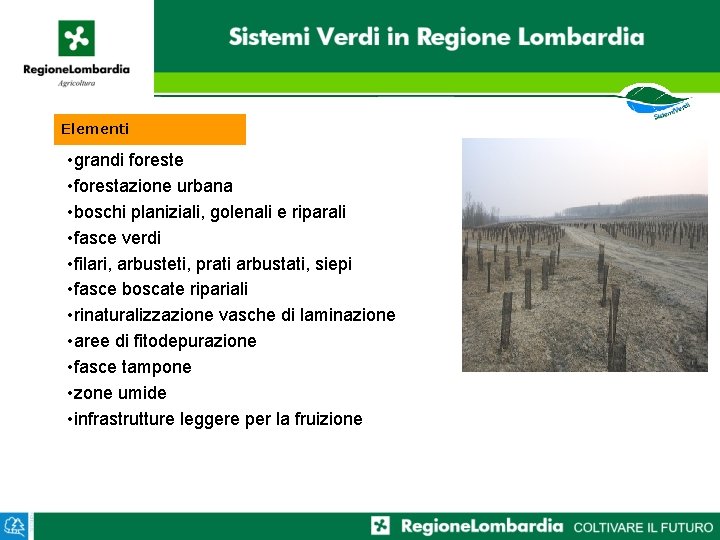 Elementi • grandi foreste • forestazione urbana • boschi planiziali, golenali e riparali •