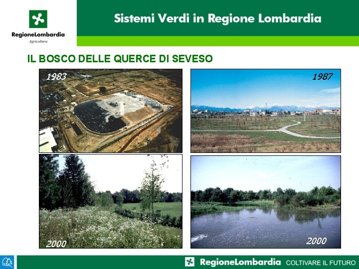 IL BOSCO DELLE QUERCE DI SEVESO 1983 2000 1987 2000 