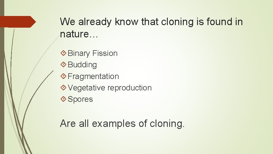 We already know that cloning is found in nature… Binary Fission Budding Fragmentation Vegetative