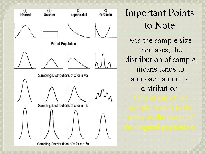 Important Points to Note • As the sample size increases, the distribution of sample