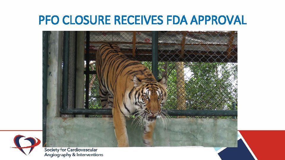 PFO CLOSURE RECEIVES FDA APPROVAL 