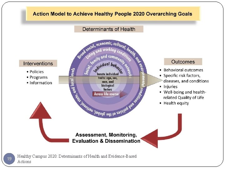 19 Healthy Campus 2020: Determinants of Health and Evidence-Based Actions 
