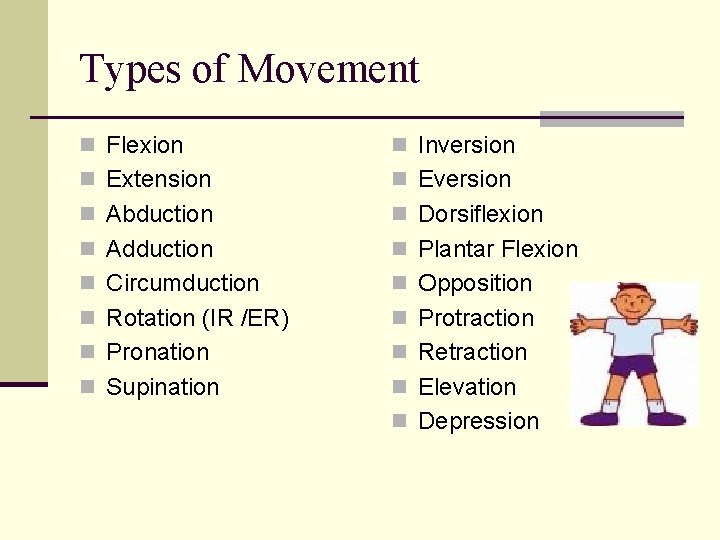 Types of Movement n Flexion n Inversion n Extension n Eversion n Abduction n