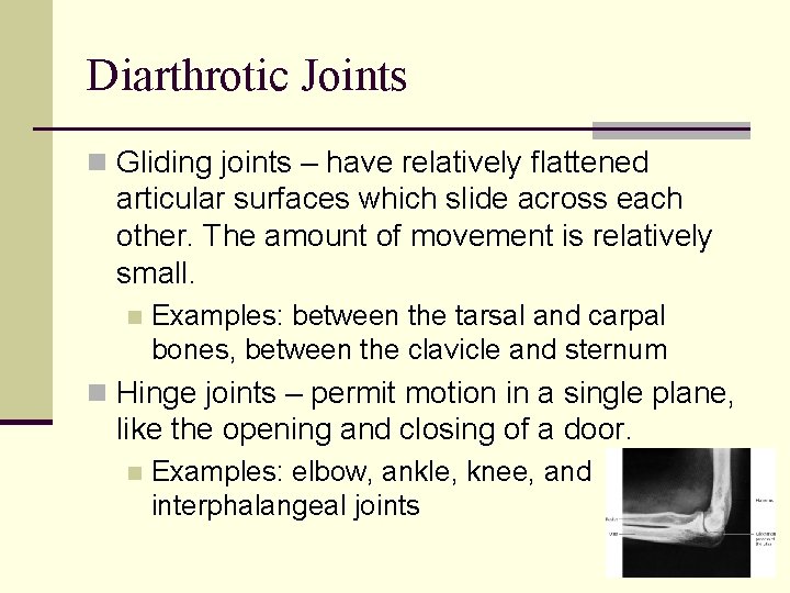 Diarthrotic Joints n Gliding joints – have relatively flattened articular surfaces which slide across