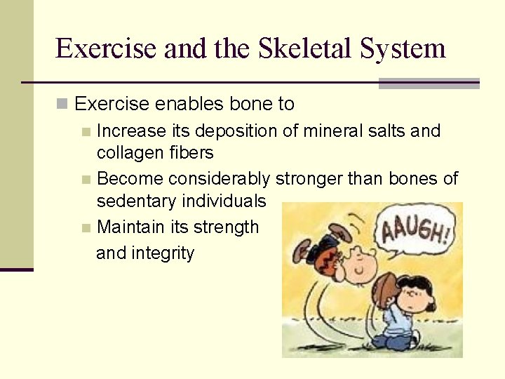 Exercise and the Skeletal System n Exercise enables bone to n Increase its deposition