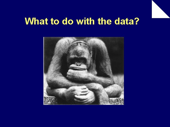 What to do with the data? 
