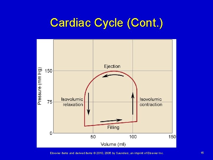 Cardiac Cycle (Cont. ) Elsevier items and derived items © 2010, 2005 by Saunders,