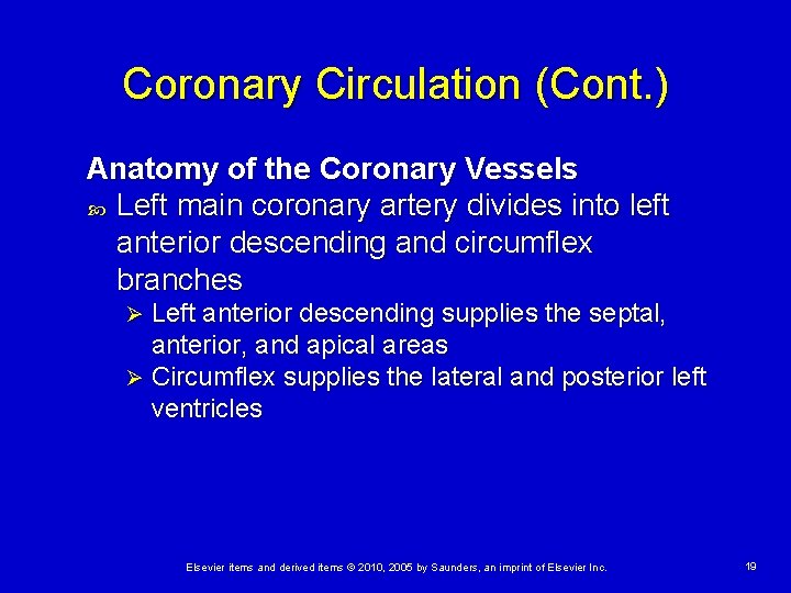 Coronary Circulation (Cont. ) Anatomy of the Coronary Vessels Left main coronary artery divides