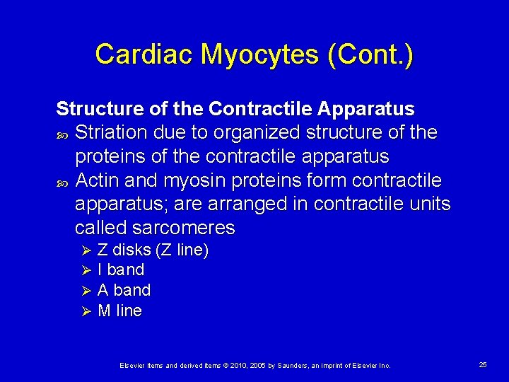 Cardiac Myocytes (Cont. ) Structure of the Contractile Apparatus Striation due to organized structure