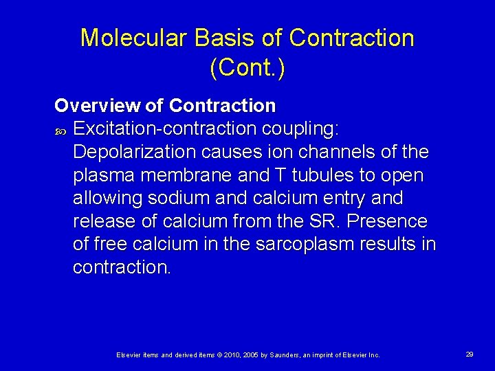 Molecular Basis of Contraction (Cont. ) Overview of Contraction Excitation-contraction coupling: Depolarization causes ion