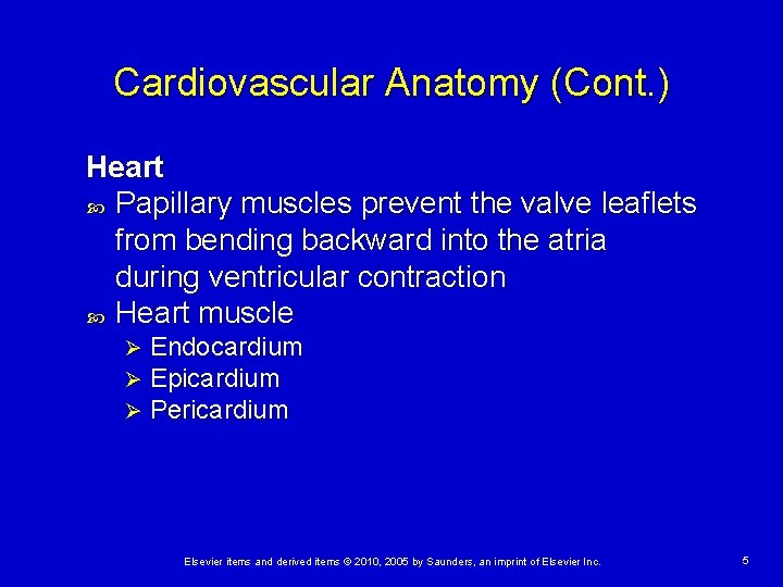 Cardiovascular Anatomy (Cont. ) Heart Papillary muscles prevent the valve leaflets from bending backward