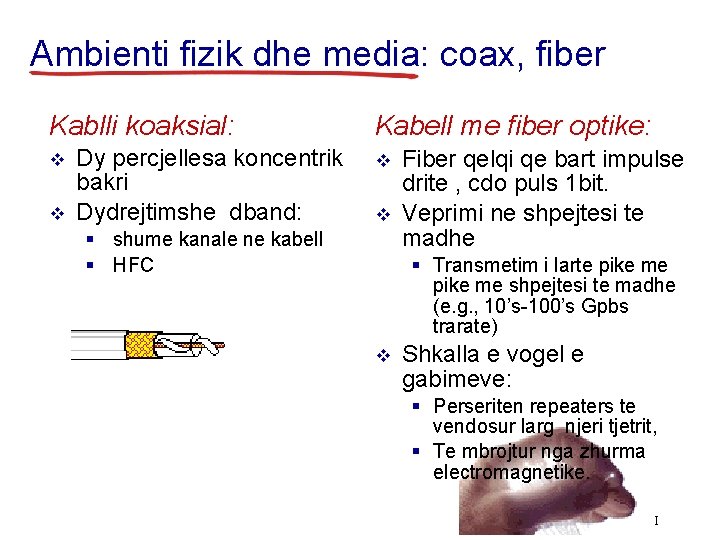 Ambienti fizik dhe media: coax, fiber Kablli koaksial: v v Dy percjellesa koncentrik bakri