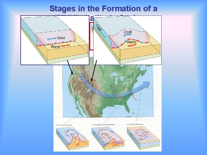 Stages in the Formation of a Middle-Latitude Cyclone 