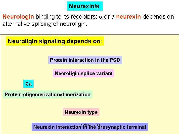 Neurexin/s Neurologin binding to its receptors: a or b neurexin depends on alternative splicing