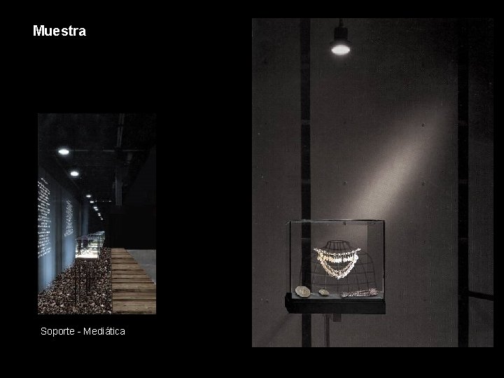 Muestra Soporte - Mediática Muestra Soporte - Mediática