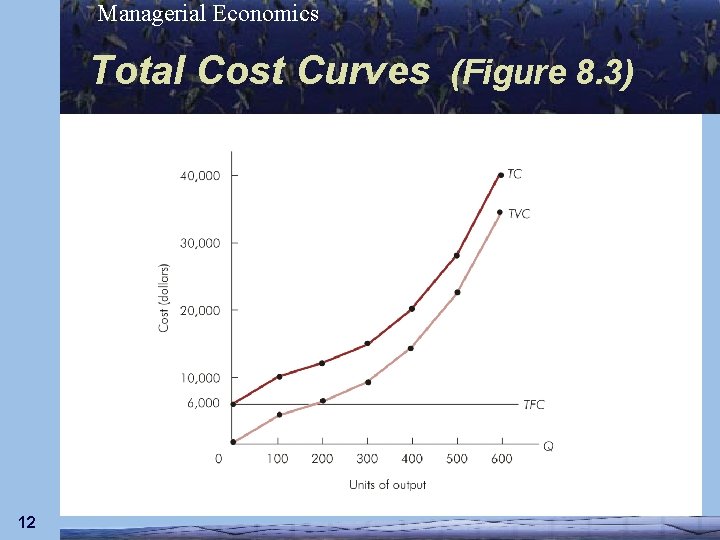 Managerial Economics Total Cost Curves (Figure 8. 3) 12 