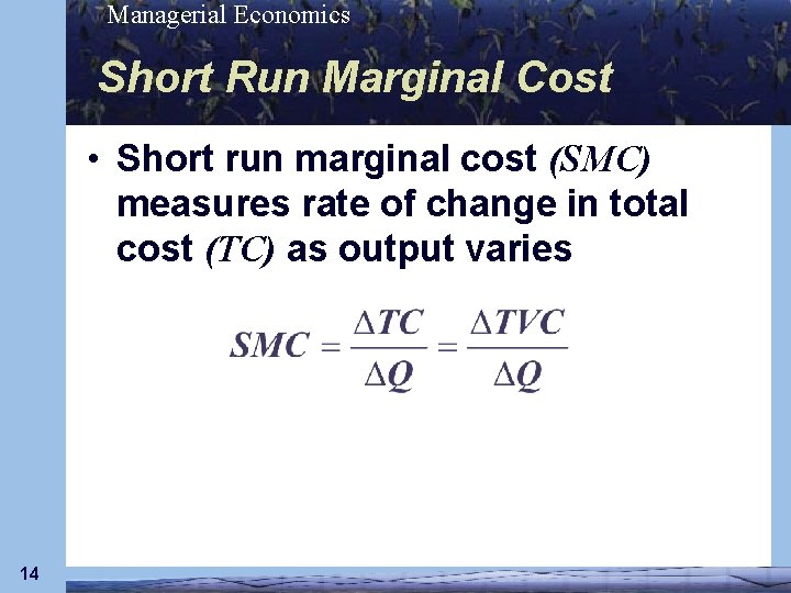 Managerial Economics Short Run Marginal Cost • Short run marginal cost (SMC) measures rate