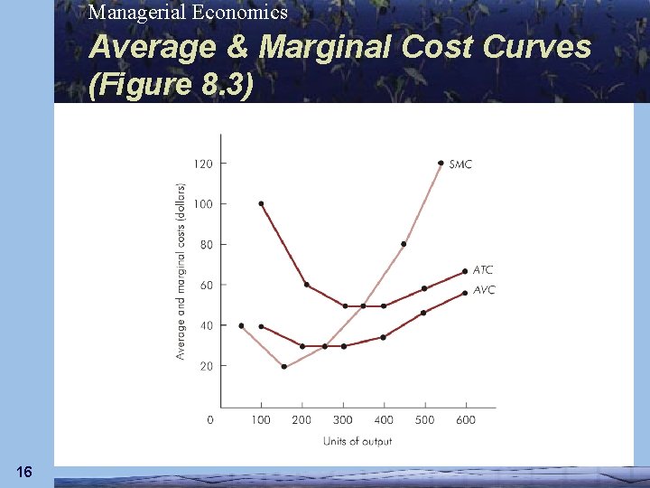 Managerial Economics Average & Marginal Cost Curves (Figure 8. 3) 16 