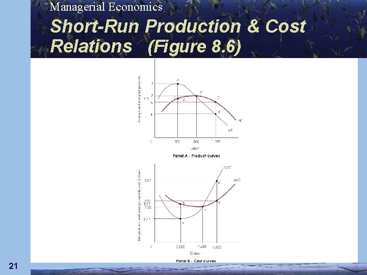 Managerial Economics Short-Run Production & Cost Relations (Figure 8. 6) 21 