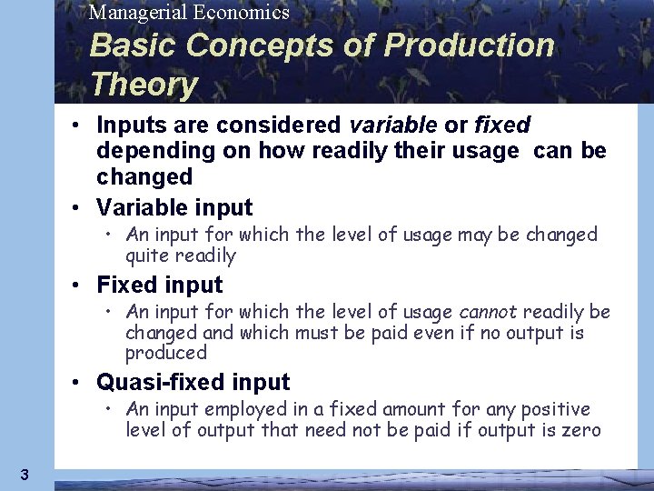 Managerial Economics Basic Concepts of Production Theory • Inputs are considered variable or fixed