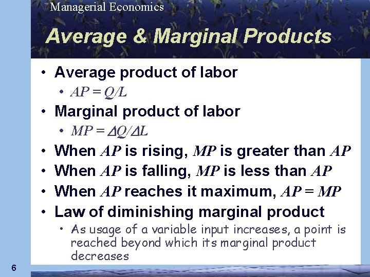 Managerial Economics Average & Marginal Products • Average product of labor • AP =