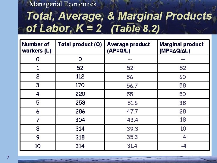 Managerial Economics Total, Average, & Marginal Products of Labor, K = 2 (Table 8.