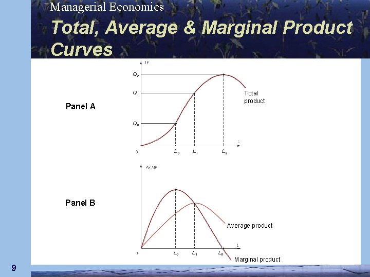Managerial Economics Total, Average & Marginal Product Curves Q 2 Q 1 Total product