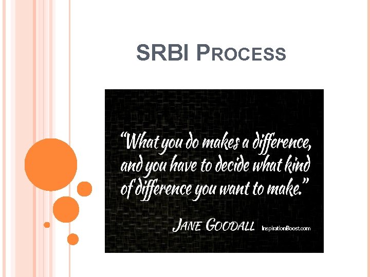 SRBI PROCESS 