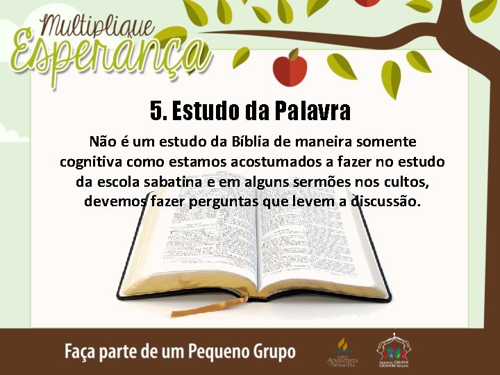 5. Estudo da Palavra Não é um estudo da Bíblia de maneira somente cognitiva