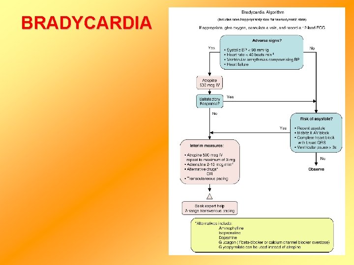 BRADYCARDIA 