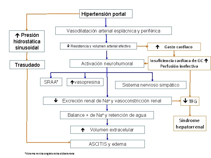 Hipertensión portal Vasodilatación arterial esplácnica y periférica Presión hidrostática sinusoidal Resistencia y volumen arterial Hipertensión portal Vasodilatación arterial esplácnica y periférica Presión hidrostática sinusoidal Resistencia y volumen arterial