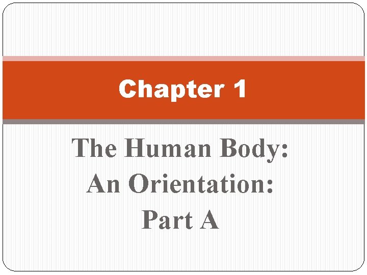 Chapter 1 The Human Body: An Orientation: Part A 