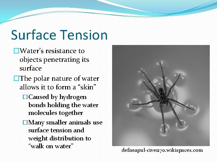Surface Tension �Water’s resistance to objects penetrating its surface �The polar nature of water Surface Tension �Water’s resistance to objects penetrating its surface �The polar nature of water