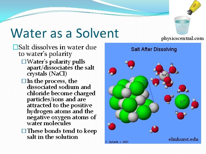 Water as a Solvent physicscentral. com �Salt dissolves in water due to water’s polarity Water as a Solvent physicscentral. com �Salt dissolves in water due to water’s polarity