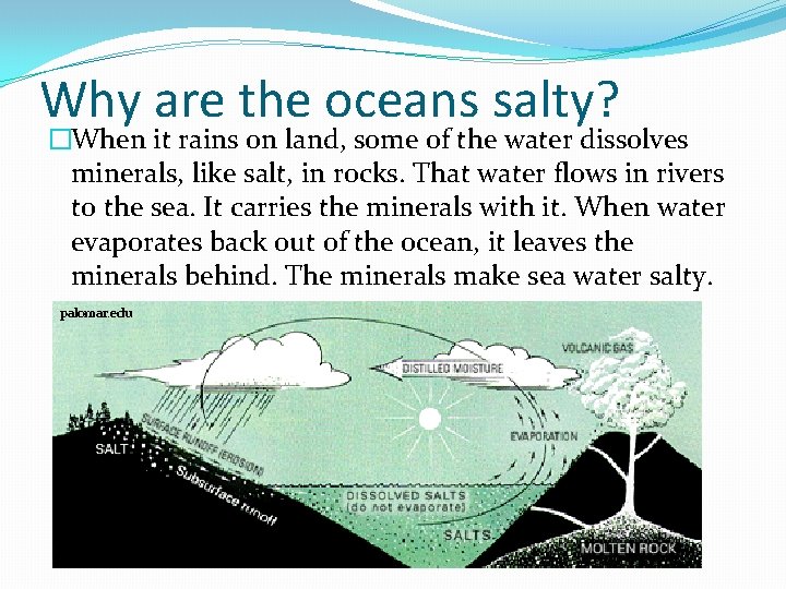 Why are the oceans salty? �When it rains on land, some of the water Why are the oceans salty? �When it rains on land, some of the water