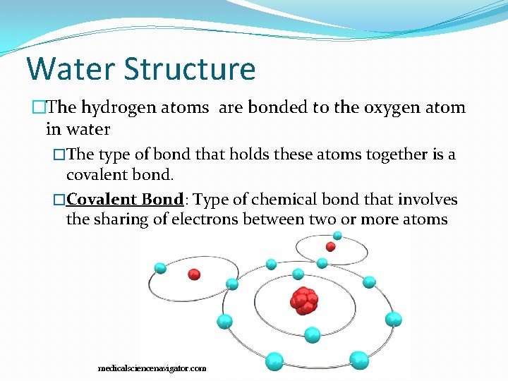 Water Structure �The hydrogen atoms are bonded to the oxygen atom in water �The Water Structure �The hydrogen atoms are bonded to the oxygen atom in water �The