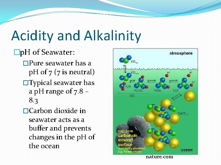 Acidity and Alkalinity �p. H of Seawater: �Pure seawater has a p. H of Acidity and Alkalinity �p. H of Seawater: �Pure seawater has a p. H of