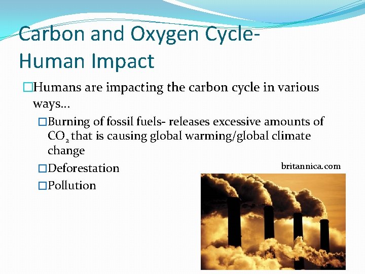 Carbon and Oxygen Cycle. Human Impact �Humans are impacting the carbon cycle in various Carbon and Oxygen Cycle. Human Impact �Humans are impacting the carbon cycle in various